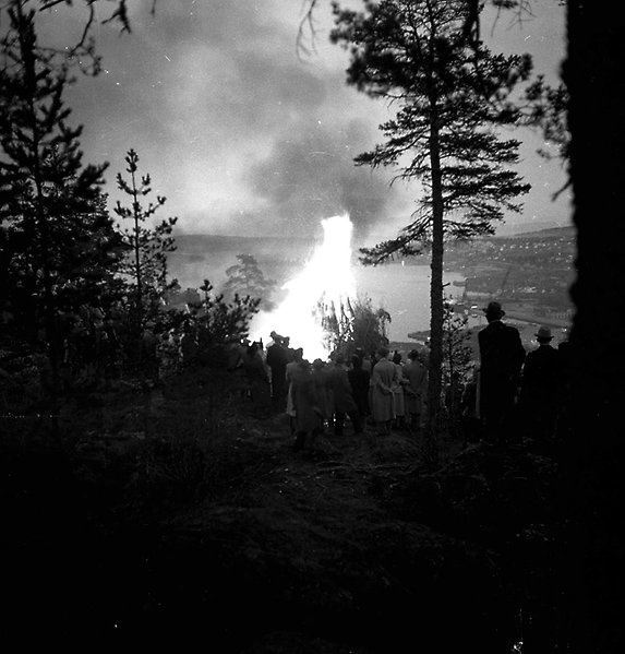 Majbrasa på Norra Berget 1950. Foto: Norrlandsbild, Sundsvalls museums fotoarkiv.